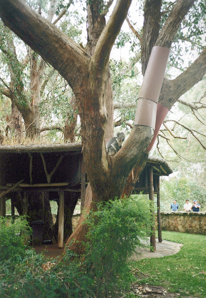 2000 - Australie 106G.jpg